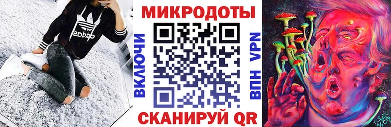Галлюциногенные грибы Psilocybine cubensis  Карачев 